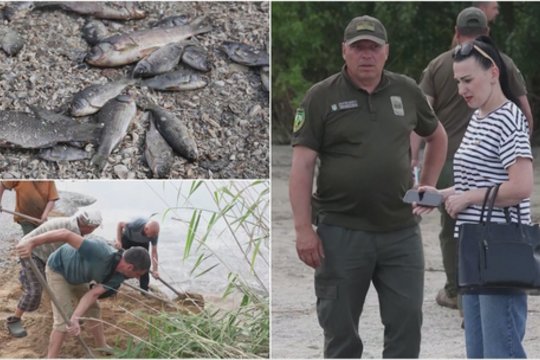 Kachovkos katastrofos pasekmės: krantuose – tūkstančiai negyvų žuvų, gyventojai semiasi vandens likučius