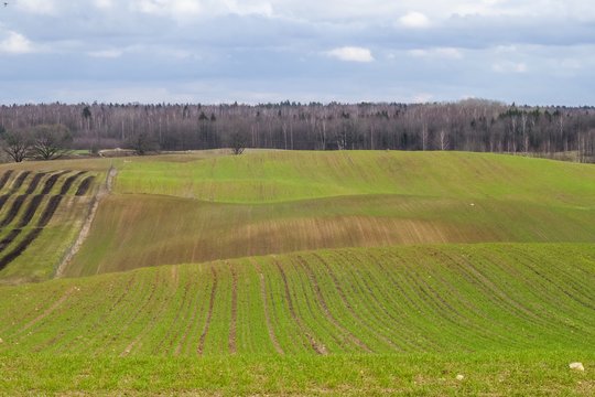 Vakarų Lietuvos ūkininkai jau patiria stichinę sausrą.