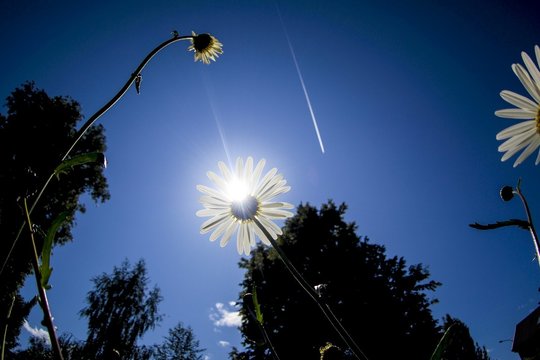 Artimiausiu metu saulėtų dienų netrūks: termometrų stulpeliai šoktels iki 28 laipsnių 