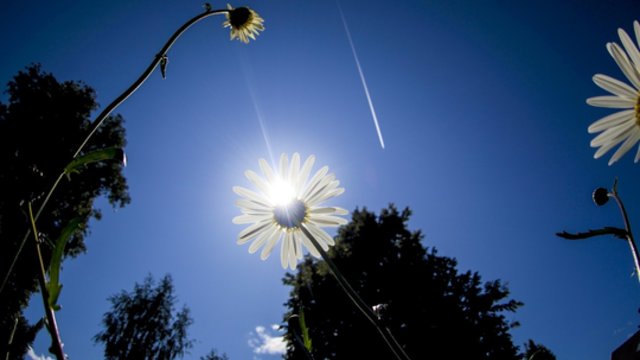 Artimiausiu metu saulėtų dienų netrūks: termometrų stulpeliai šoktels iki 28 laipsnių 