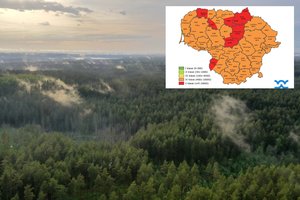 Miškų gaisringumas šalyje toliau didėja: prašo gamtoje elgtis atsakingai
