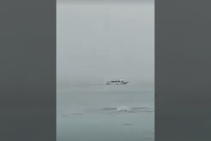 Populiariame Egipto kurorte ryklys sudraskė rusą: nuo kranto viską stebėjo tėvas