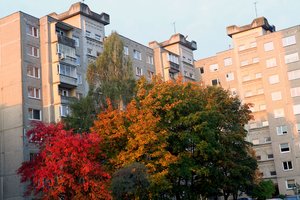 Bandys gelbėti gyventojus nuo nesąžiningų daugiabučių administratorių