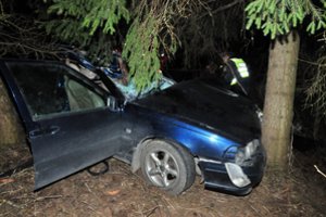 Vilniaus pakraštyje rastas tris medžius nulaužęs automobilis – vairuotojas dingo