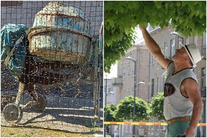 Neįprastas vaizdas Kalvarijoje: gyventojus stebino bičių spiečiaus elgesys