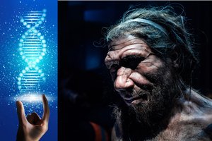 Neandertaliečių DNR iki šiol turi poveikį šiuolaikiniams žmonėms