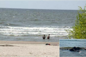 Radinys Smiltynėje pribloškė pajūrio gelbėtojus: tokio įvykio nėra matę per ilgus darbo metus