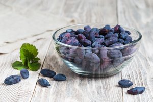 5 šviežios gėrybės, kurios dabar – pačios skaniausios ir naudingiausios