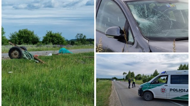 Vaizdai iš įvykio vietos: Molėtų r. automobiliui atsitrenkus į arklio tempiamą vežimą žuvo vadeliotojas 