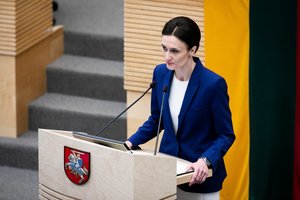 V. Čmilytė-Nielsen: abejočiau, ar VTEK kompetencija aiškintis dėl ministrų kanceliarinių išlaidų