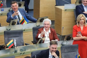 Opozicija pradėjo maištą: boikotavo svarbų balsavimą, konservatoriai ragino „atsikvošėti“