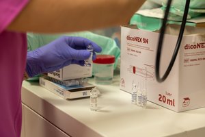 Įsidėmėkite: kokie sveikatos tyrimai priklauso nemokamai