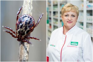 Ar birželį jau per vėlu skiepytis nuo erkinio encefalito? Atsako vaistininkė