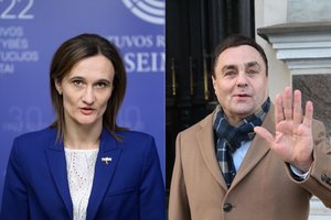 Komisijos išvada: P. Gražuliui teks viešai atsiprašyti V. Čmilytės-Nielsen