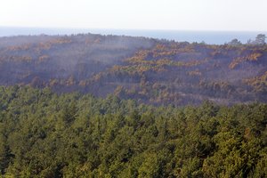 Dėl sausros laikinai draudžiama lankytis Marijampolės savivaldybės miškuose