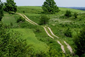 Europos Parlamentas balsuos dėl Gamtos atkūrimo reglamento