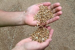 S. Lavrovas grasina galutinai nutraukti grūdų susitarimą