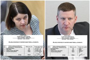 Atskleidė G. Skaistės ir S. Kairio lėšų ataskaitas: akis bado „stebuklingi“ sutapimai