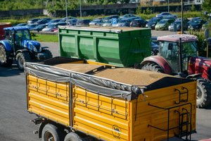 Balandį mažėjo tiek eksportuotų, tiek importuotų prekių kainos