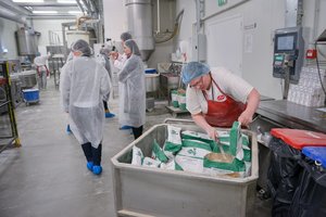 Ieškote darbo? Viena įmonė galėtų priimti 150 gamybos darbuotojų