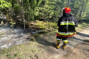 Dėl išaugusio miškų gaisringumo Akmenės rajone ribojamas miškų lankymas