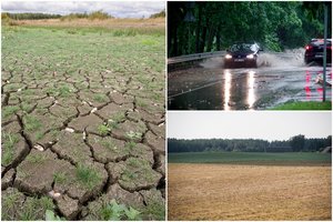 Lietuvą alinant sausrai – perspėjimas: liūtis tik dar labiau pakenktų