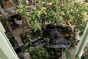 Kretingos muziejaus Žiemos sodas vėl atveria duris lankytojams