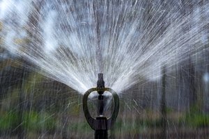 NKVC nesiūlo skelbti valstybės ekstremalios situacijos dėl sausros