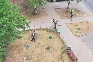 Sausros grimasos: nebeliko žolės, tai tvarkytojai pjauna šieną