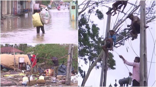Vaizdai po Indiją nusiaubusio ciklono: matyti skęstančios gatvės, apgadintos lūšnos ir išvaryti elektros stulpai