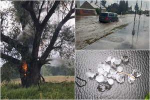 Liūtys skandino ir Alytų: tvino gatvės, nuo žaibo užsiliepsnojo medis