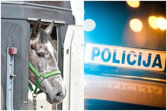 Nyderlanduose pasiėmusi žirgams vežti skirtą autobusuką, lenkė Vilniuje taip ir nepasirodė – paskelbta paieška