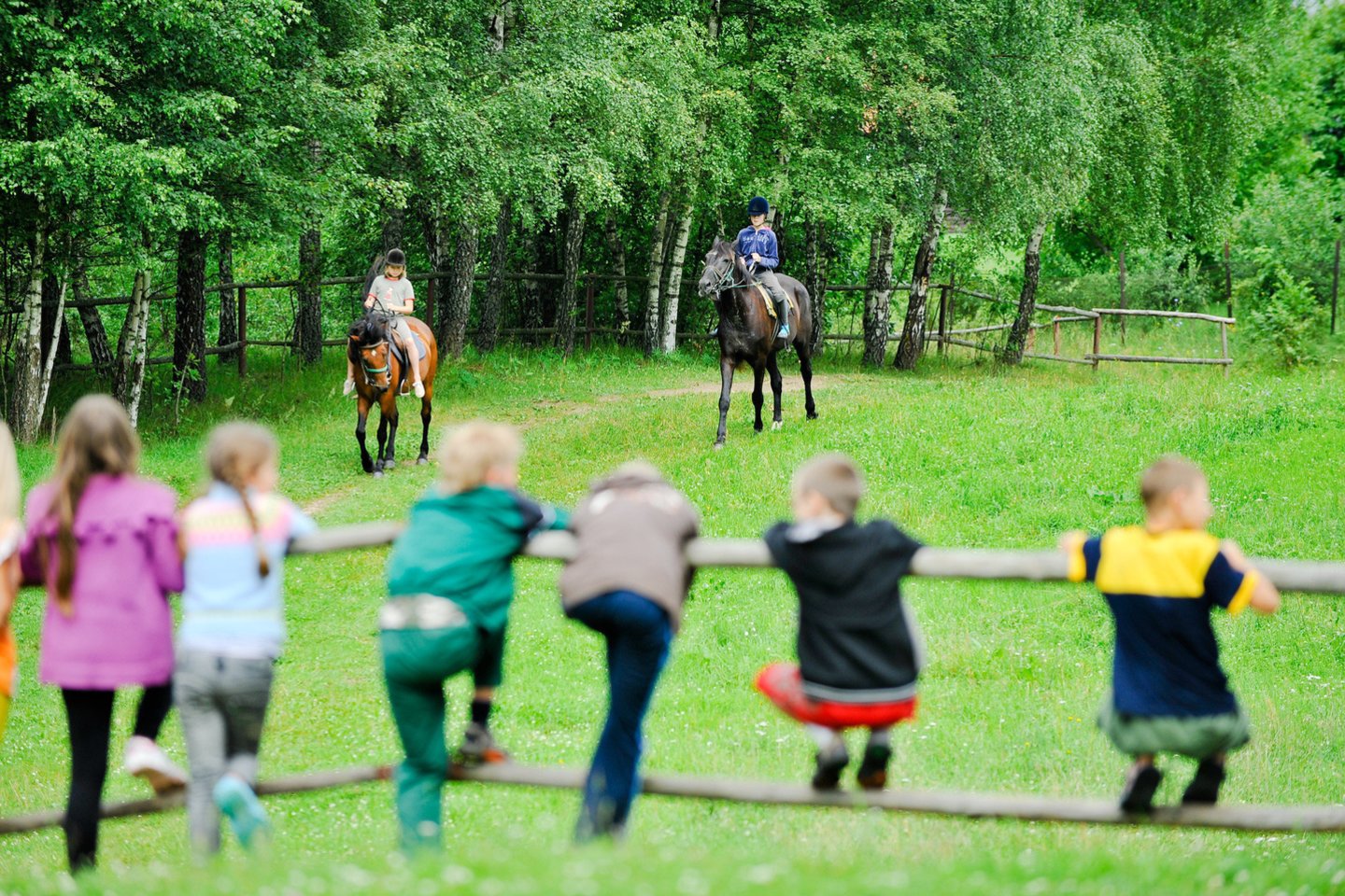 Kasmet Lietuvoje vaikų vasaros stovyklos pritraukia apie 50 tūkst. stovyklautojų.<br>V.Ščiavinsko nuotr.