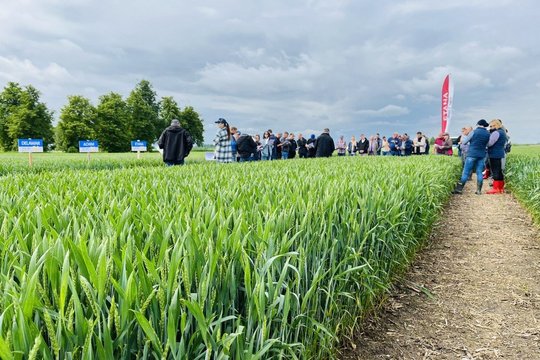 Dauguma ūkininkų jau turbūt spėjo susipažinti su nauju Lietuvos žemės ūkio ir kaimo plėtros 2023–2027 m. strateginiu planu ir geros agrarinės ir aplinkosaugos žemės būklės (GAAB) standartais.