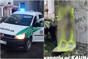 Katiną „nukryžiavusio“ Kauno sadisto paieškos: įsitraukė ir visuomenė, plinta jį demaskuojantis vaizdo įrašas