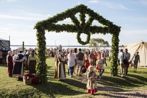 Paveldo tyrėjas apie trumpiausios metų nakties papročius: išliko laužai, nyksta burtininkavimo tradicijos
