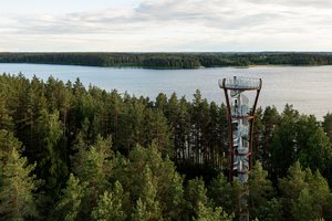 Planas vasarai: 10 aukščiausių apžvalgos bokštų Lietuvoje – atsiveriantys vaizdai paliks be žado