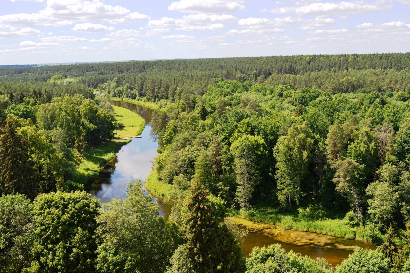 Medžių lajų takas. <br>Anykščių TVIC nuotr.
