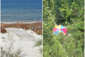 Nerimą kelia kopose vyrus puldinėjančios moterys: „Užsieniečiai išvis sutrikę“