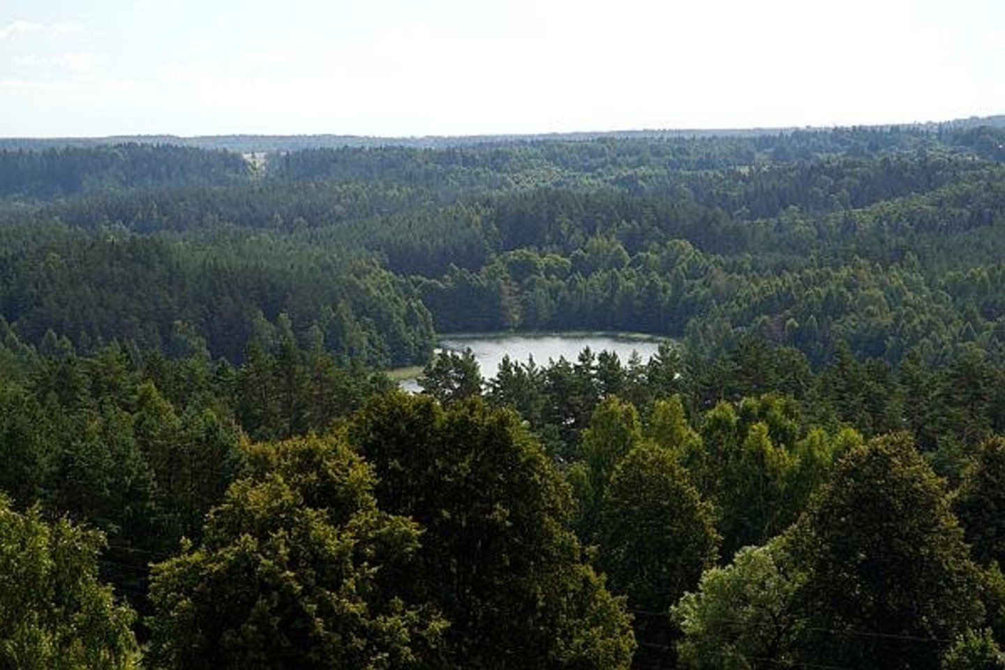 Švenčionių apžvalgos bokštas. <br>infosvencionys.lt nuotr.
