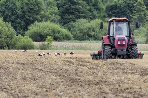 Dėl sausros kenčiantys žemdirbiai prašo skelbti ekstremalią situaciją visoje šalyje