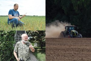 Net lietus situacijos jau nebeišgelbės – derlius nyksta akyse