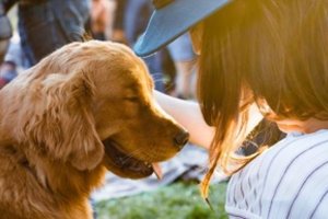 Vasaros karščiai – pavojus augintiniams: 7 dalykai, į kuriuos privalote atkreipti dėmesį