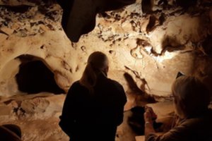 Mokslininkai: seniausias pasaulio graviūras sukūrė ne mūsų rūšies žmogus