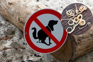 Auga tikimybė nuo gyvūnų užsikrėsti pavojinga liga: simptomai, kad jūsų viduje knibžda kirmėlės