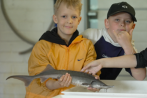 Moksleivių pažintis su žuvimis – dar vertingesnė: vaikai savo žiniomis prisideda sprendžiant opias ekologijos problemas