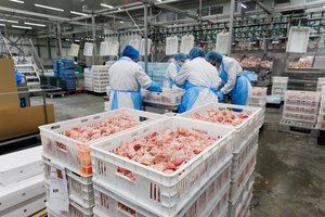 Daugiausiai maisto ir pašarų kokybės pažeidimų – lenkiškoje produkcijoje