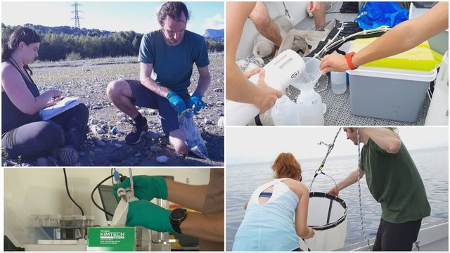 Mokslininkai tiria Baltijos jūros ir Kuršių marių ekosistemą: leidosi į dvejų metų žygį