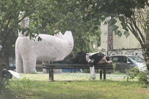 Prieš Joninių savaitgalį vilnietis pasidalino nerimą keliančiais vaizdais: „Turistai net apeina“