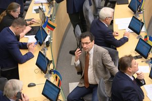 Seimo narys apkaltino Kultūros tarybą – reikalauja viešai pasiaiškinti dėl tautos tradicijų naikinimo